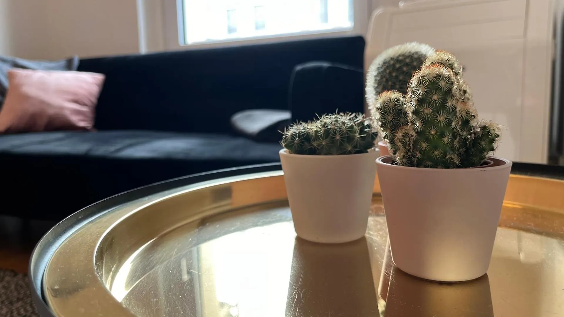 德累斯顿Wohnperle 